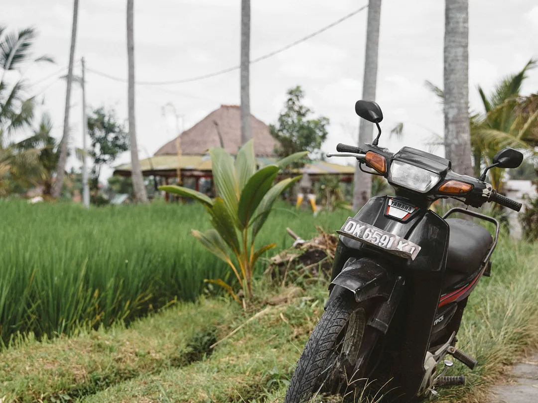 Не нужно арендовать суперновый байк — даже если вы аккуратный водитель, вам его легко поцарапают где-нибудь на парковке. И особенно если планируете кататься по горам и грунтовкам