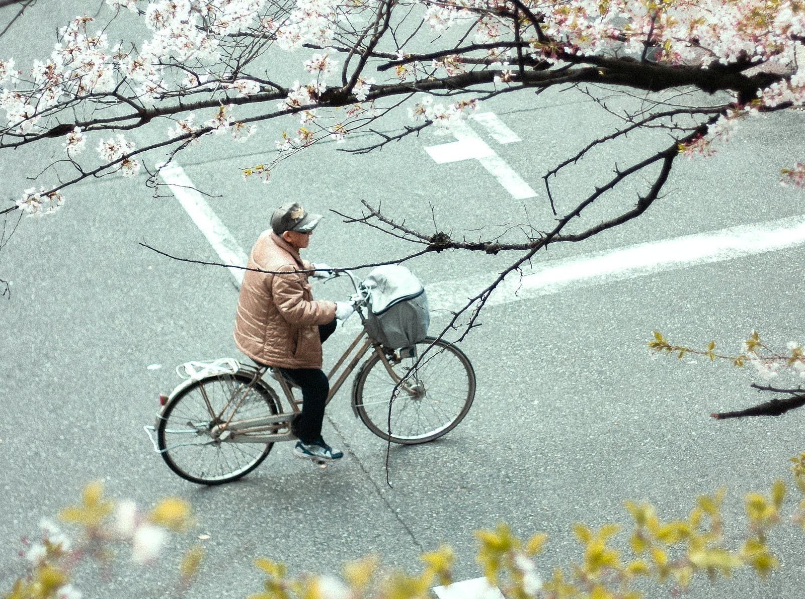 В Сакае хорошая велоинфраструктура и проложены дорожки по городу