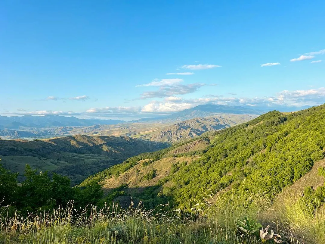 South Georgia