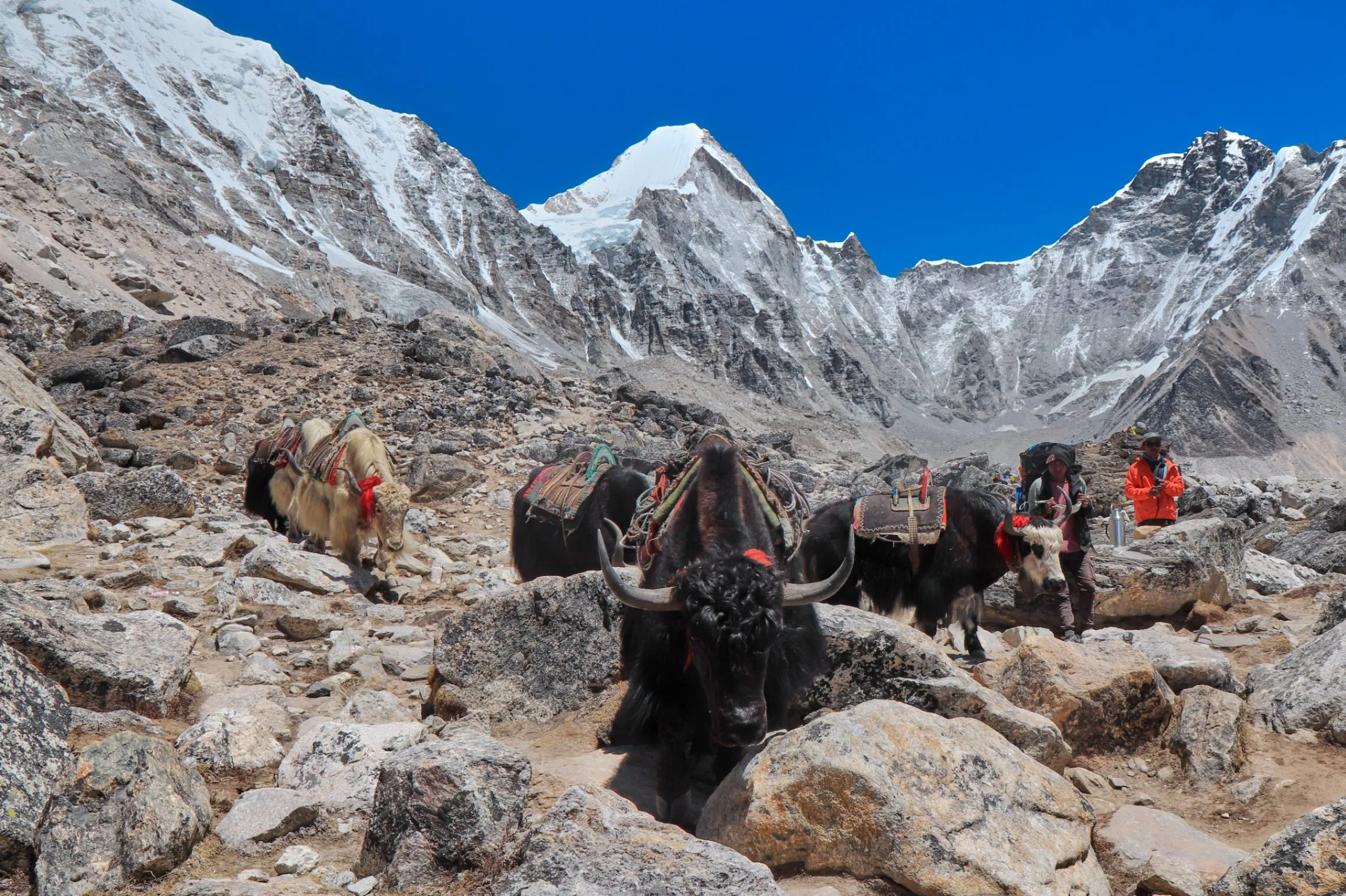 Yak-EBC