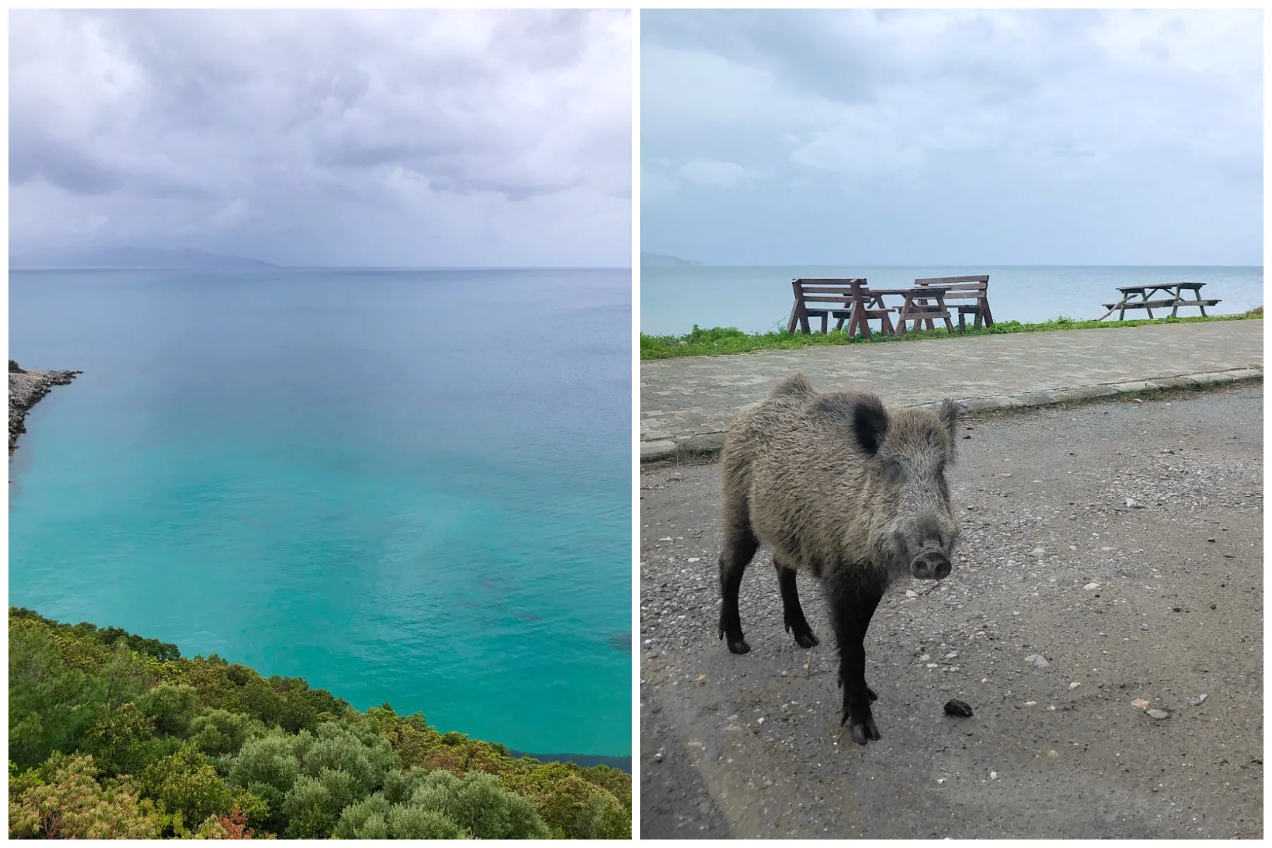 Dilek Milli National Park