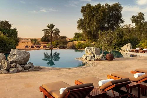 Al Maha, a Luxury Collection Desert Resort & Spa, Dubai - 5