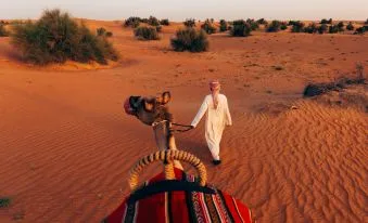 Al Maha, a Luxury Collection Desert Resort & Spa, Dubai - 2