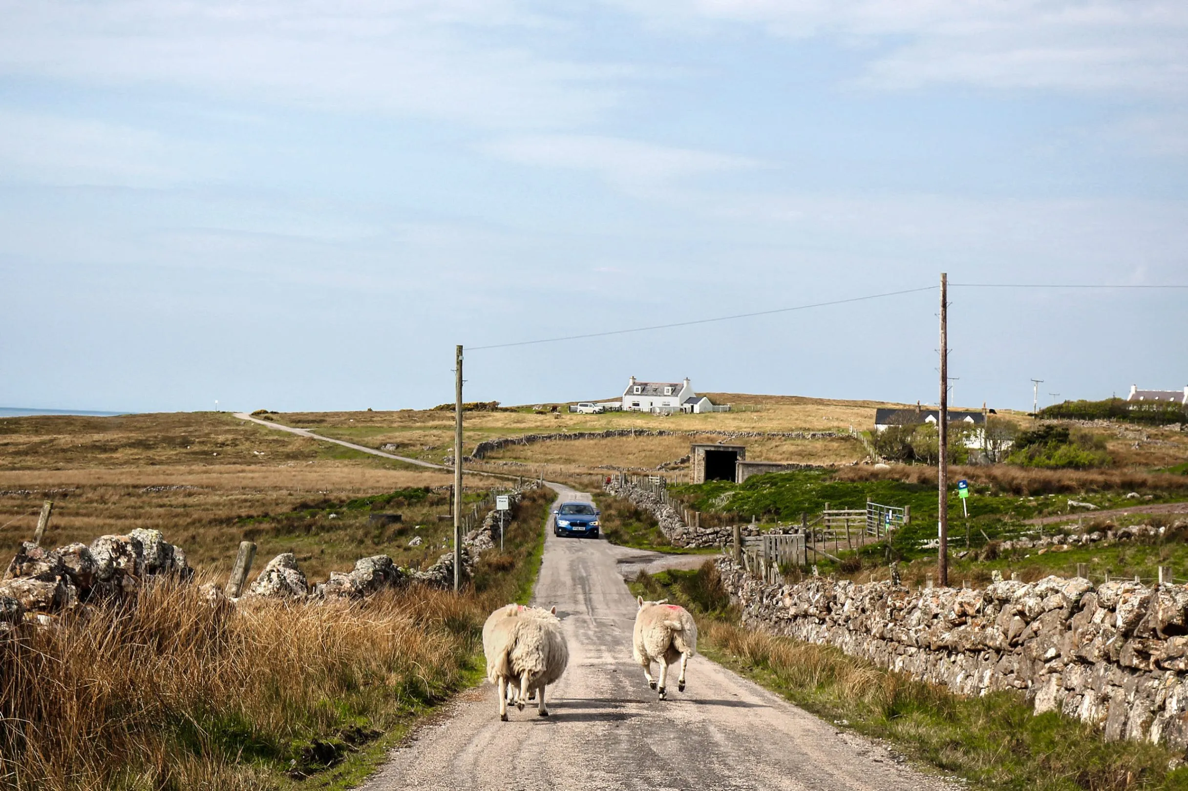Wee Mad Road