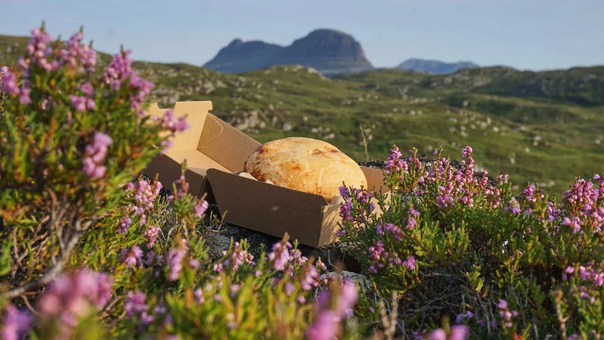 Lochinver Larder Pie