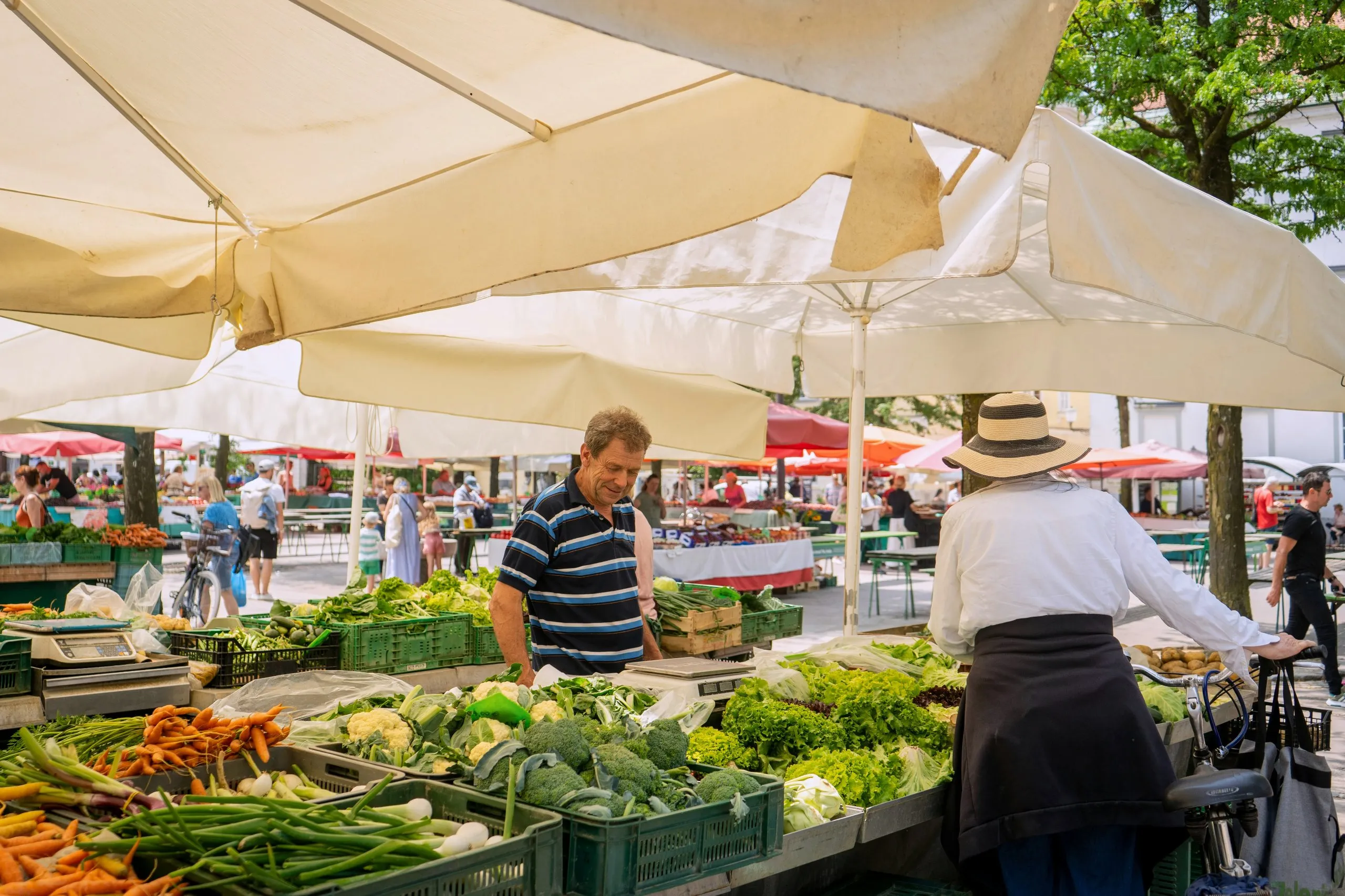 ljubljana-market