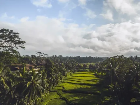 Equipoise Resort & Spa Ubud Managed by Ini VIE Hospitality - 2