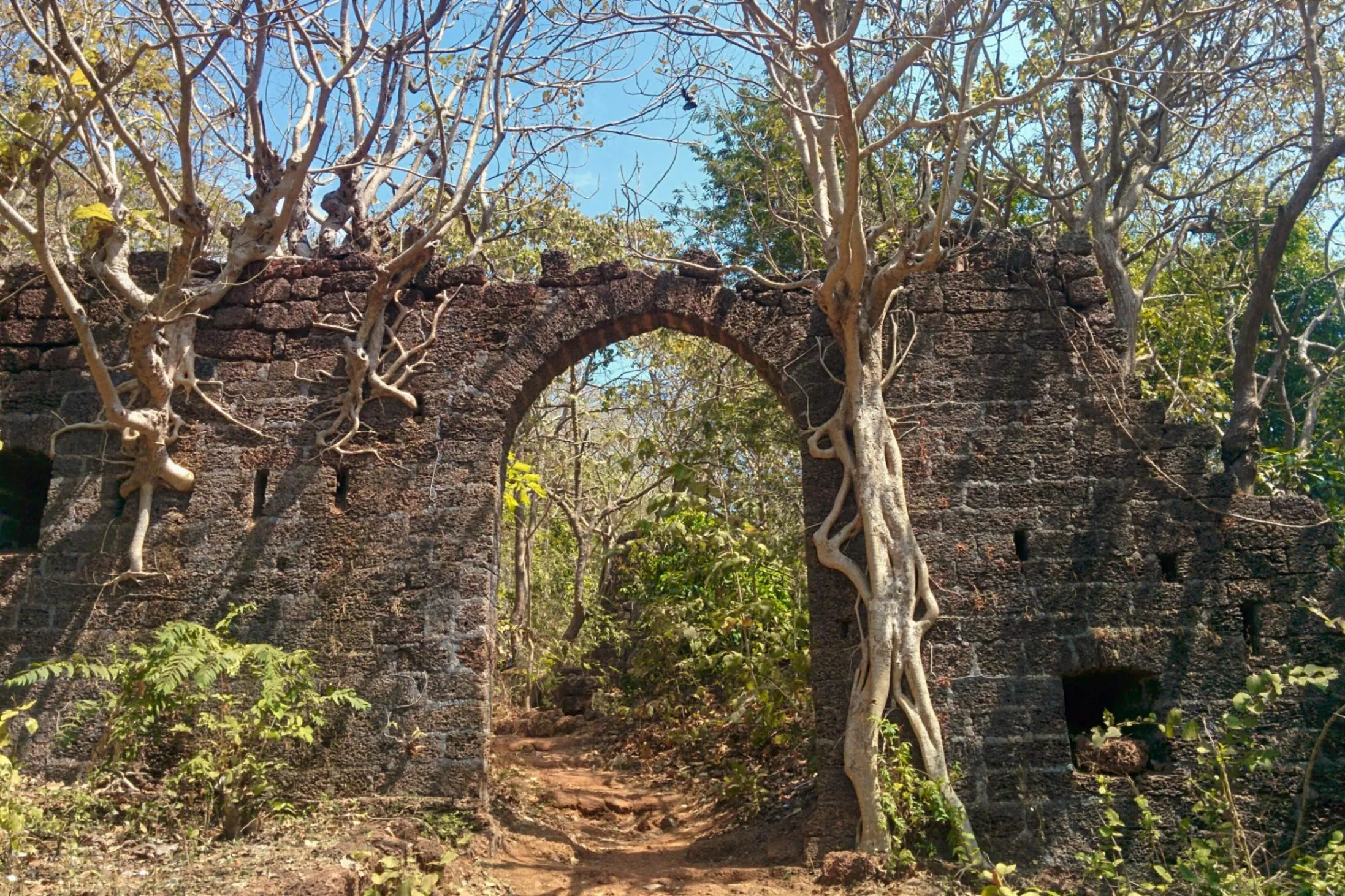 Redi Fort