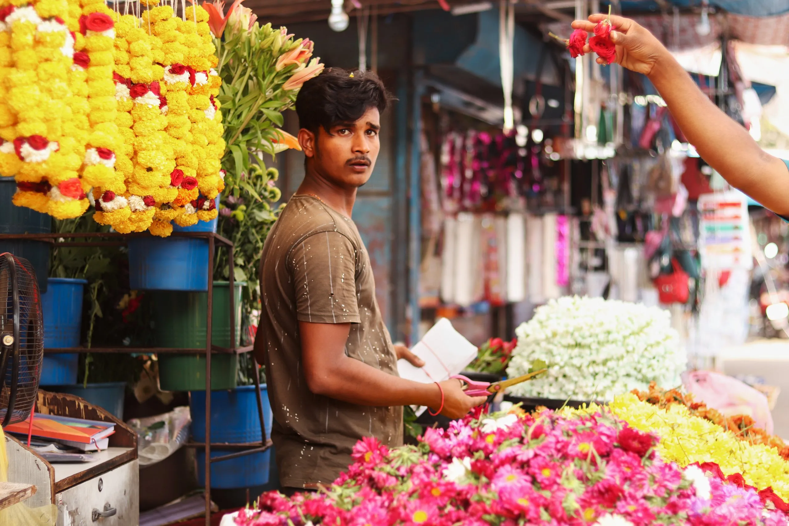 Market_GOA