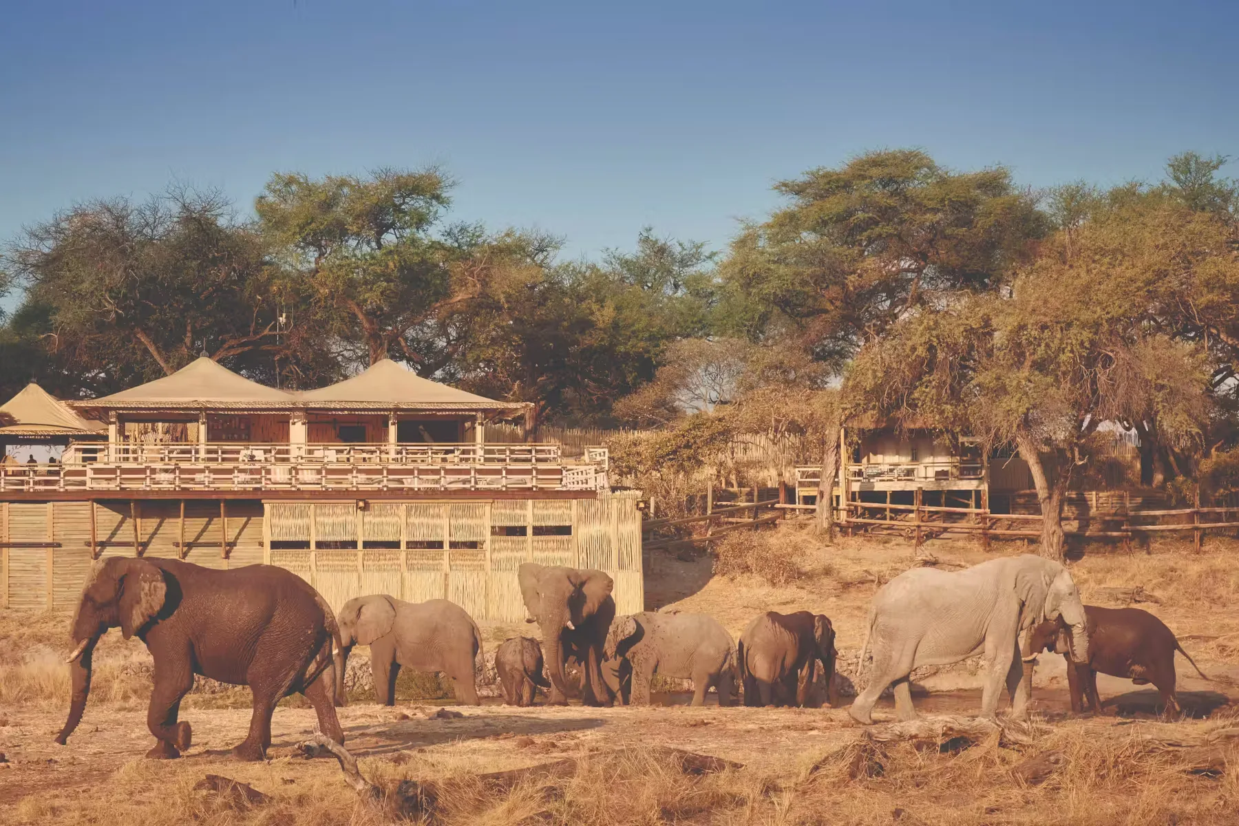 Savute Elephant Lodge, A Belmond Safari — 7