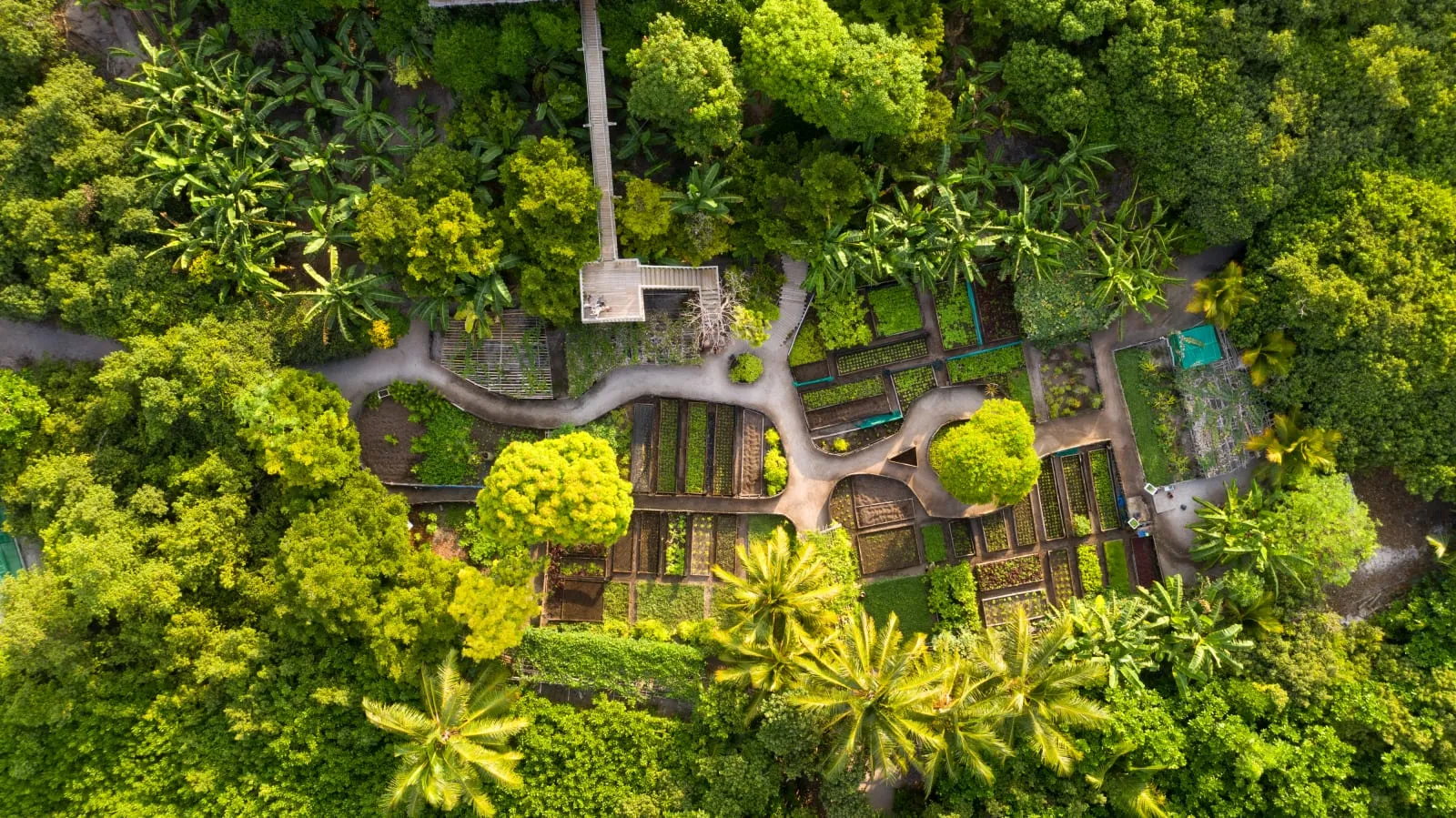 Soneva Fushi - 3