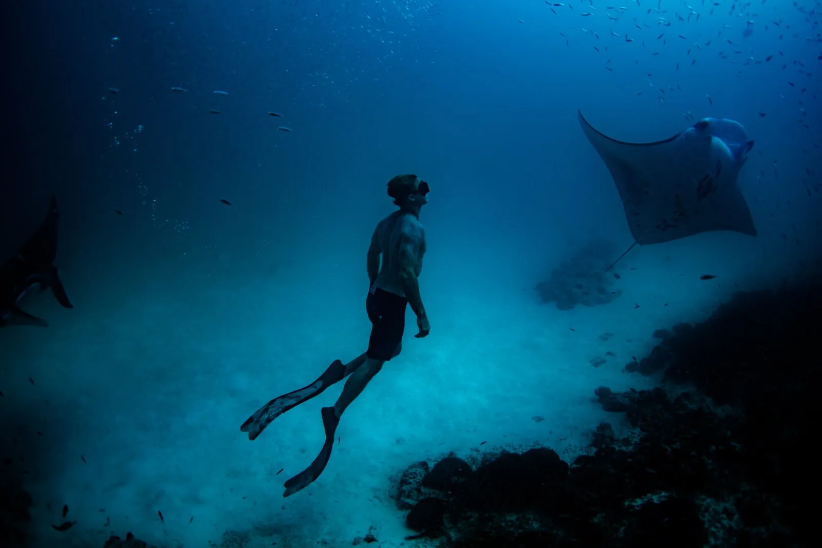 Soneva Fushi - 5