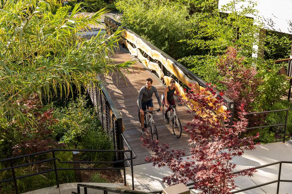 Alila Napa Valley, a Hyatt Luxury Resort - 2