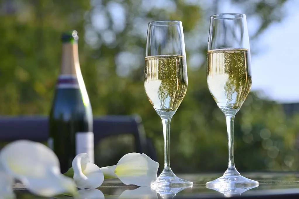 Hotel Chinzanso Tokyo - 5