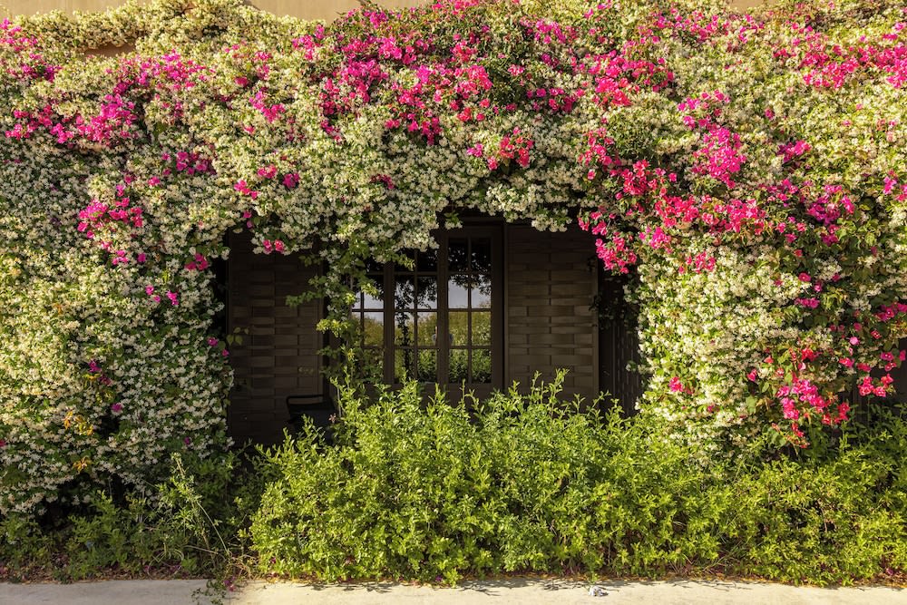 Country House Villadorata - 3