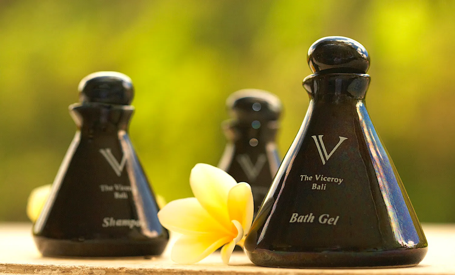 Viceroy Bali - 3