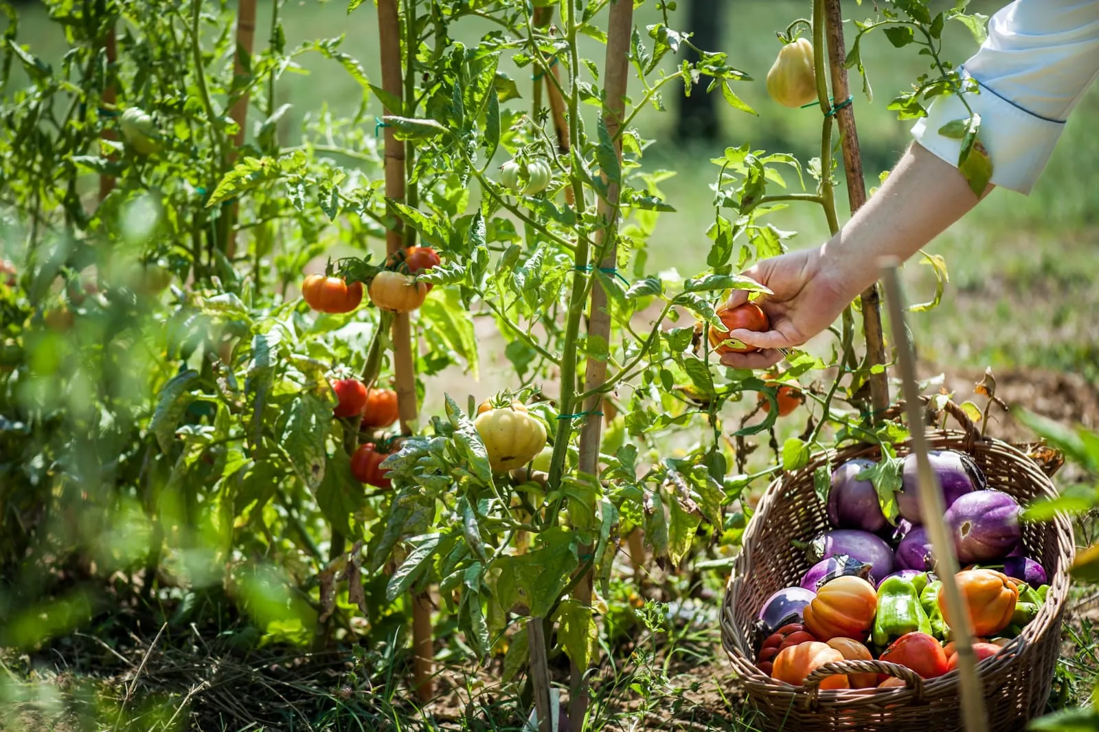 Il Salviatino Firenze - 4