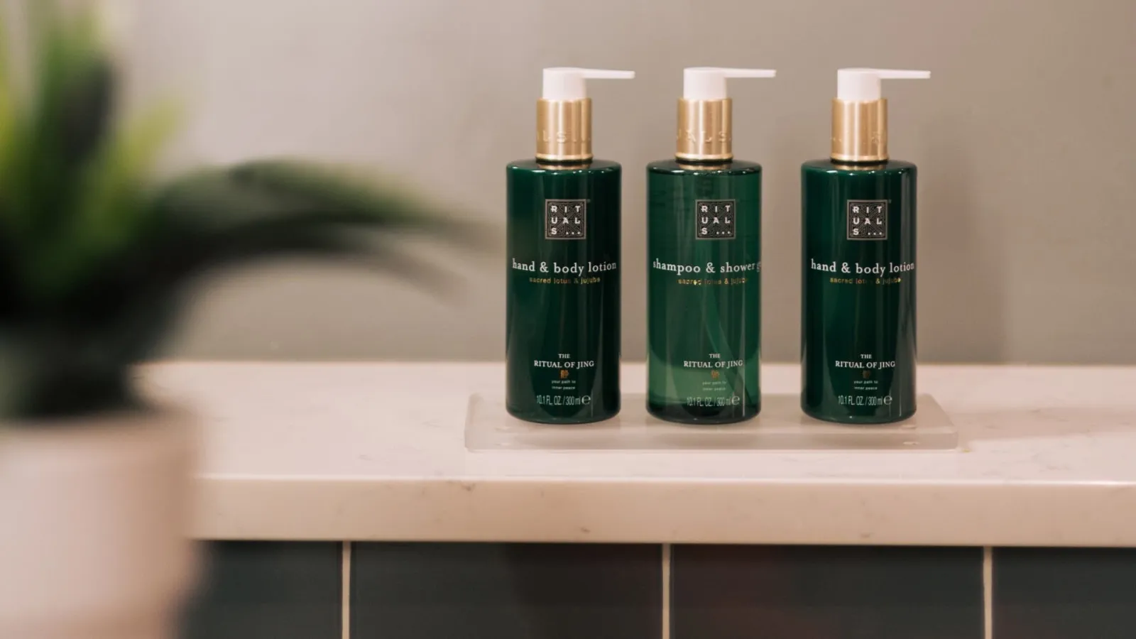 The Montenotte Hotel - 4