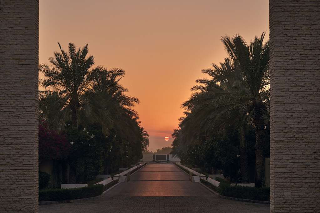 Meliá Desert Palm Member of Meliá Collection - 4