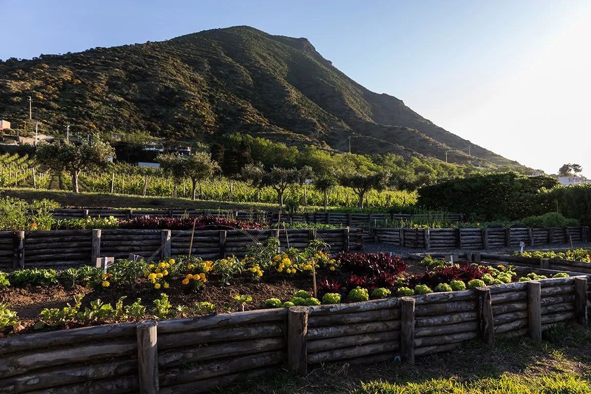 Capofaro Locanda & Malvasia - 5