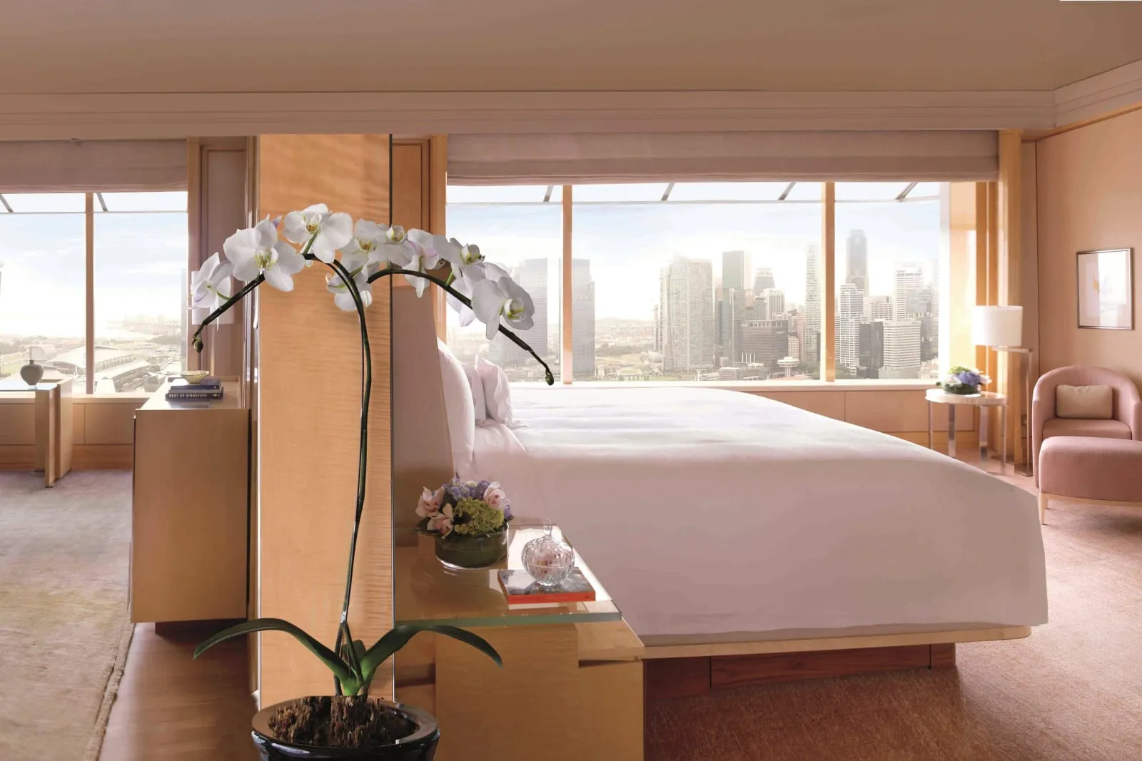 The Ritz-Carlton, Millenia Singapore - 4