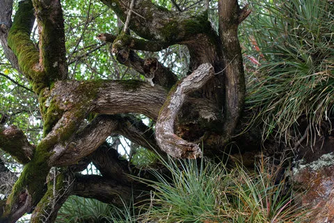 Mari Mari Natural Reserve Experience - 4