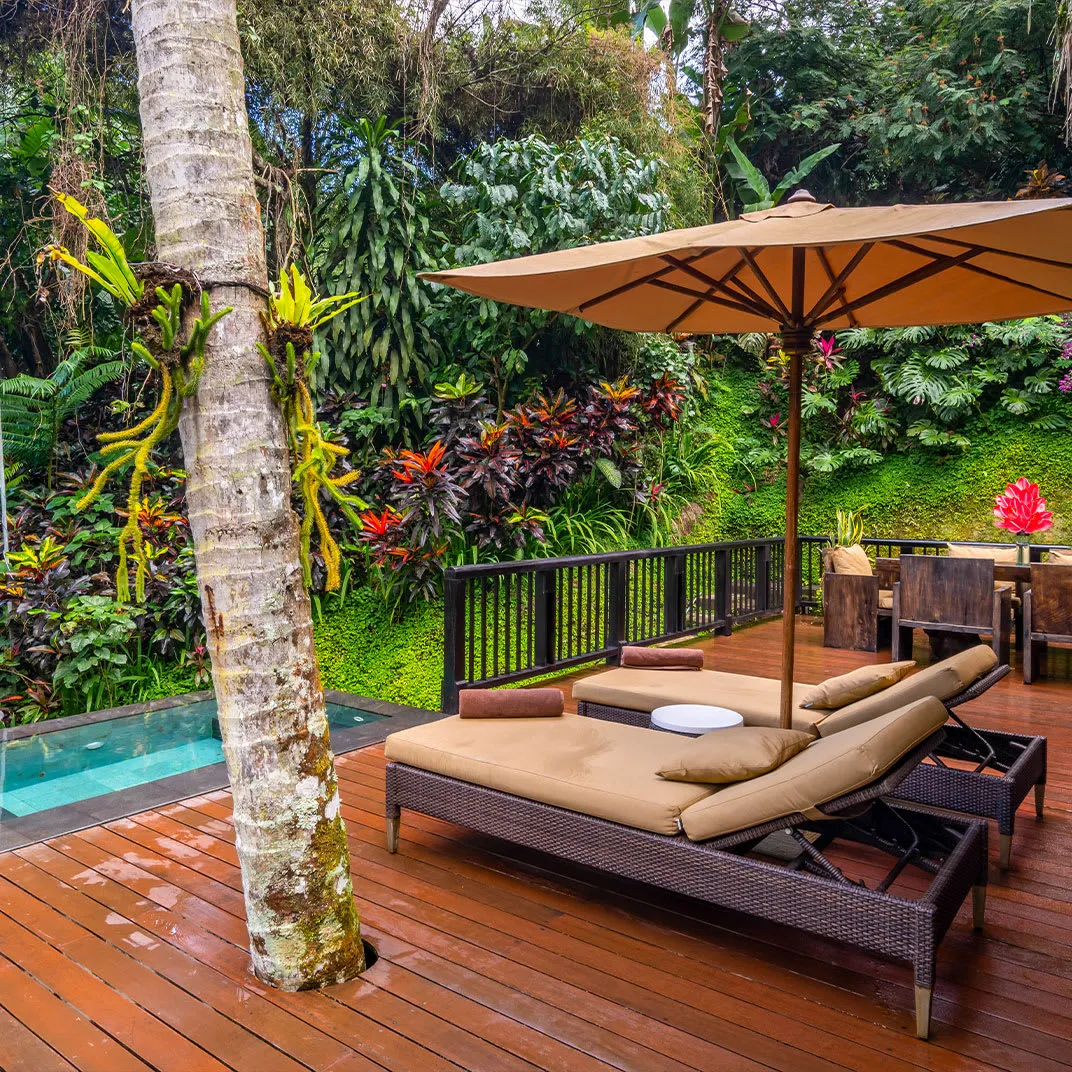 Hanging Gardens of Bali - 4