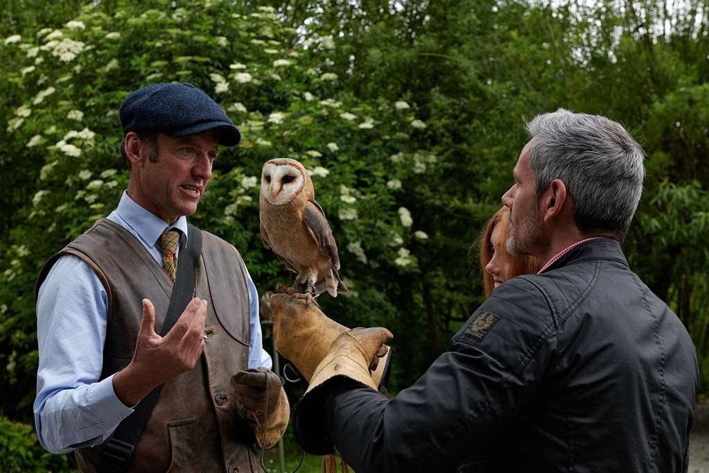 Dromoland Castle - 5