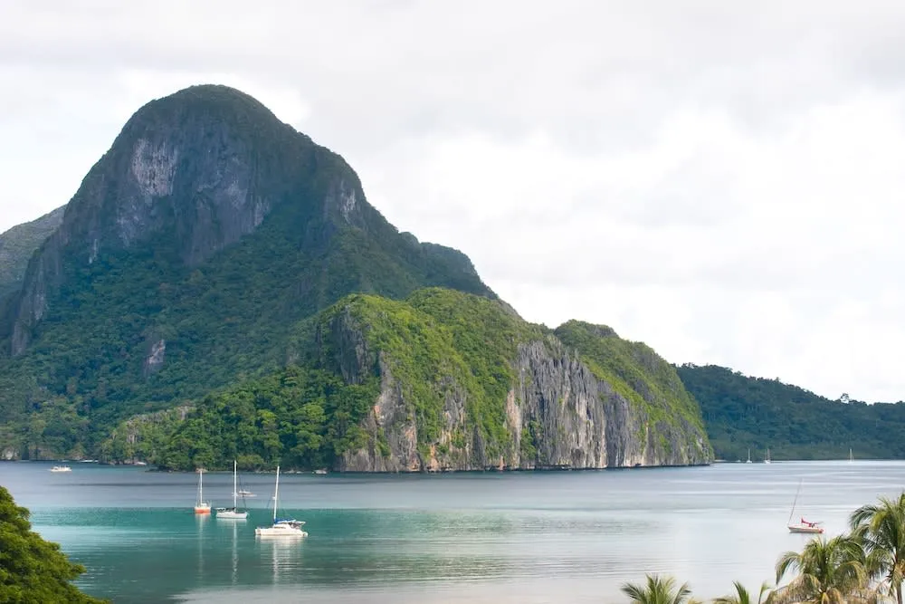 The Funny Lion - El Nido - 2