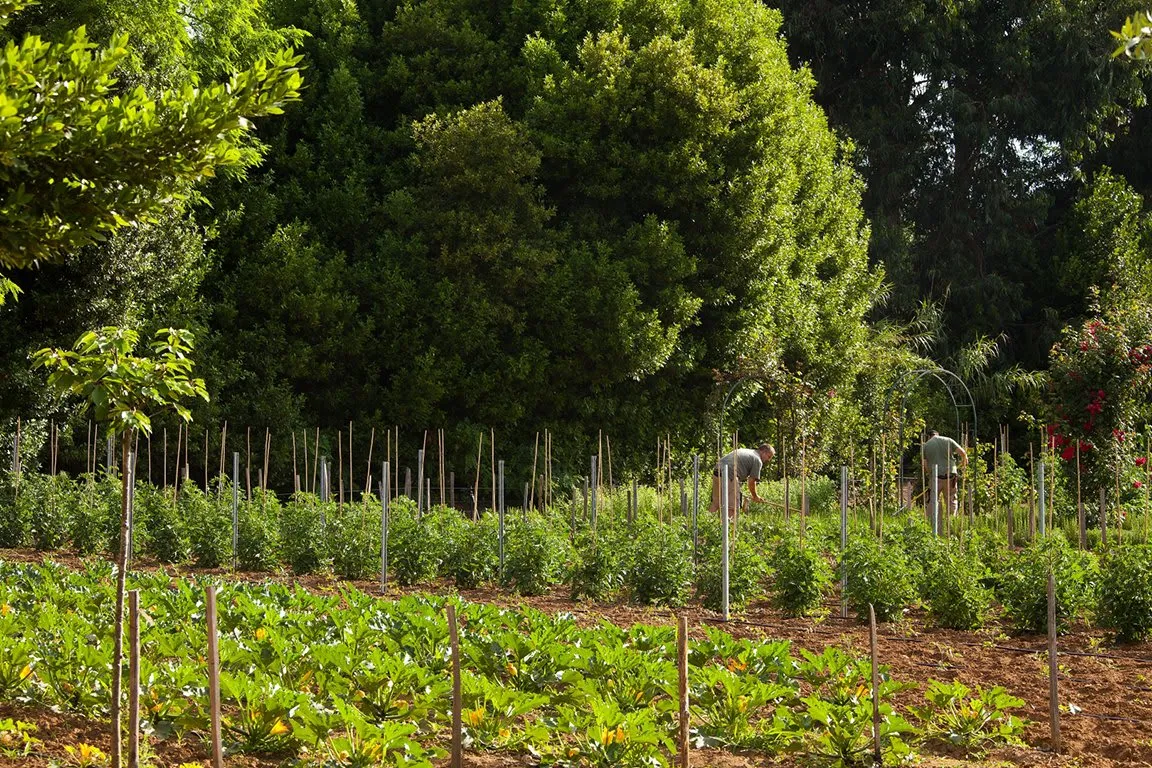 Château de Valmer - 4