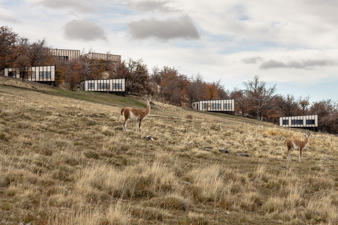 Awasi Patagonia — 6