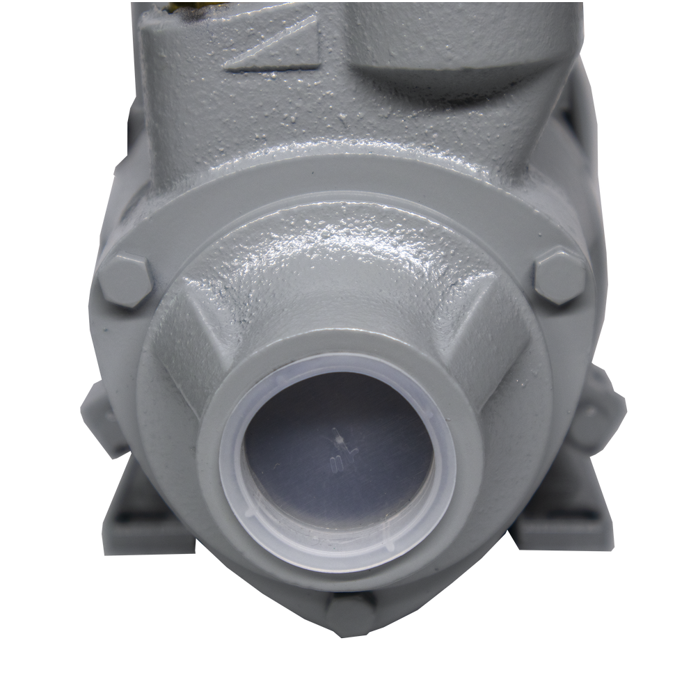 Насос поверхностный Ресанта ПСН-2400Ч - изображение 13