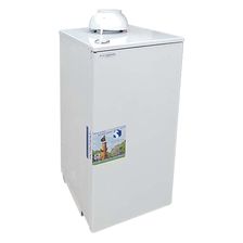 Напольный газовый котел Боринское АОГВ - 29 (H) Sit - изображение 2