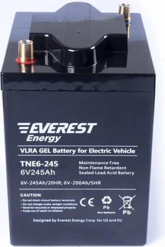 Аккумуляторная батарея EVEREST Energy TNE 6-270