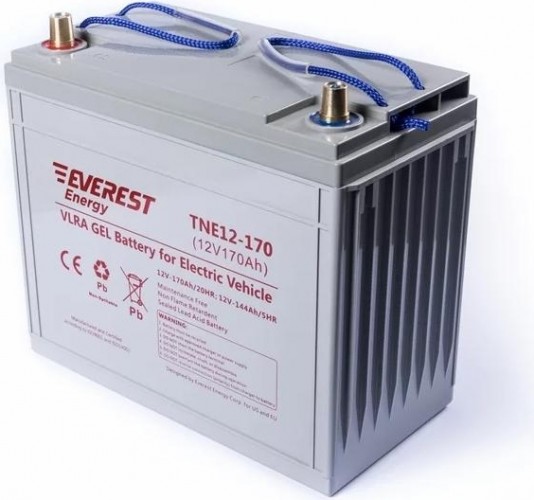 Аккумуляторная батарея EVEREST Energy TNE 12-170