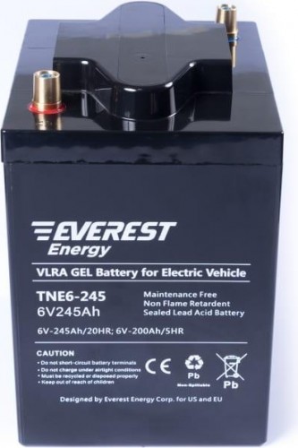 Аккумуляторная батарея EVEREST Energy TNE 6-245
