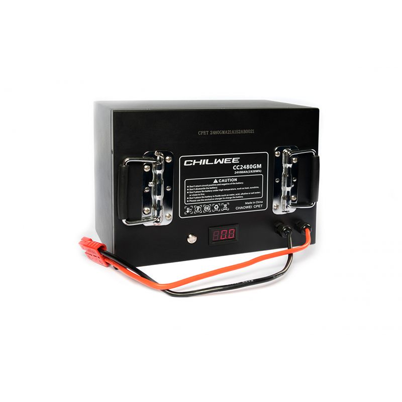Литиевый аккумулятор CHILWEE CC 24-80-GM - изображение 4