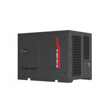 Компрессор винтовой DALGAKIRAN INVERSYS Plus 200-13 - изображение 2