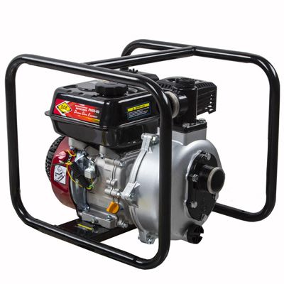 Мотопомпа бензиновая DDE PN51 - изображение 7