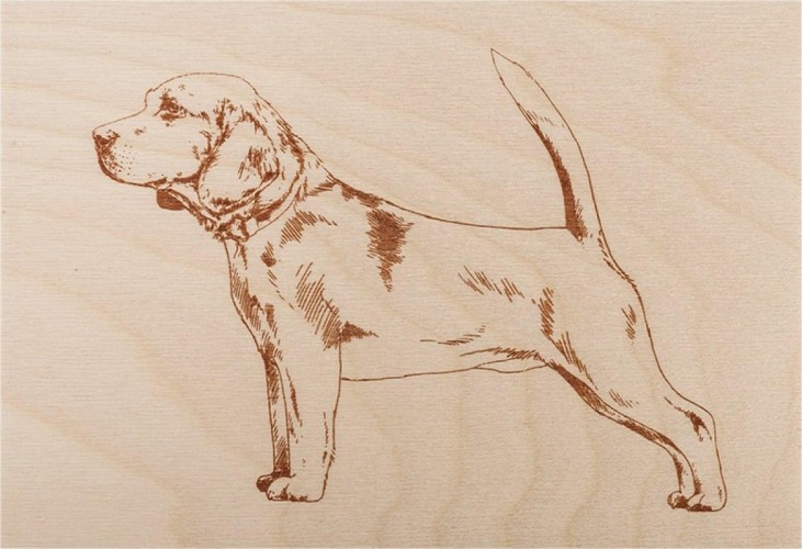 Доска для выжигания REXANT ДВ0936 «набор №1» (воин/динозавр/собака/машина/без рисунк 12-0936 - изображение 3