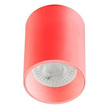 Светодиодный светильник ЕПМ E-LV-S любой RAL - изображение 5