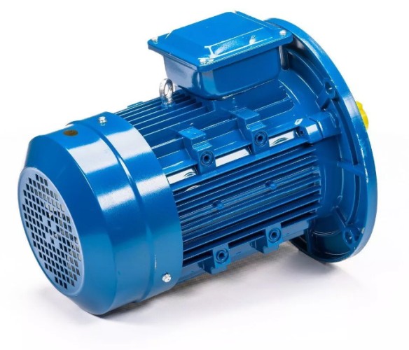 Электродвигатель 5Аи 100 L6 2.2/1000 IM 3081 01.01.213621 - изображение 5