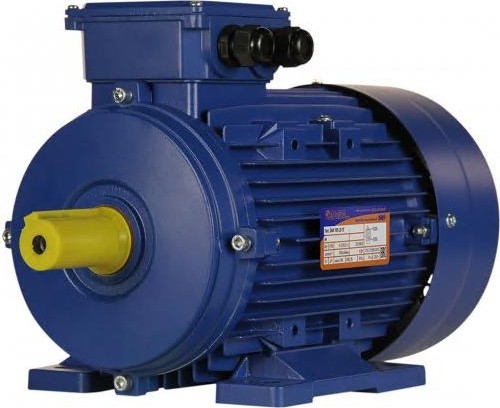 Электродвигатель 5Аи 100 L6 2.2/1000 IM 1081 01.01.213619