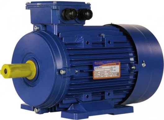 Электродвигатель 5Аи 100 S2 4/3000 IM 1081 01.01.213555
