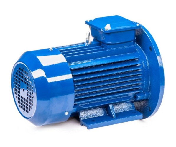 Электродвигатель 5Аи 100 S2 4/3000 IM 2081 01.01.213556 - изображение 5