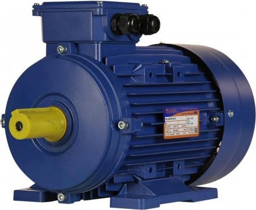 Электродвигатель 5Аи 100 S4 3/1500 IM 1081 01.01.213667