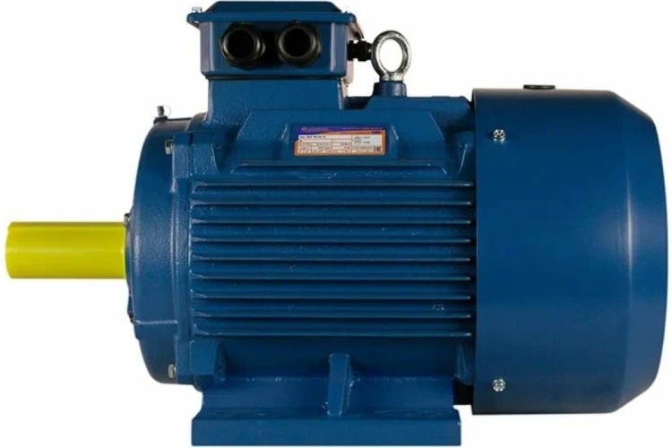 Электродвигатель 5Аи 160 М4 18.5/1500 IM 1001 01.01.213698 - изображение 2