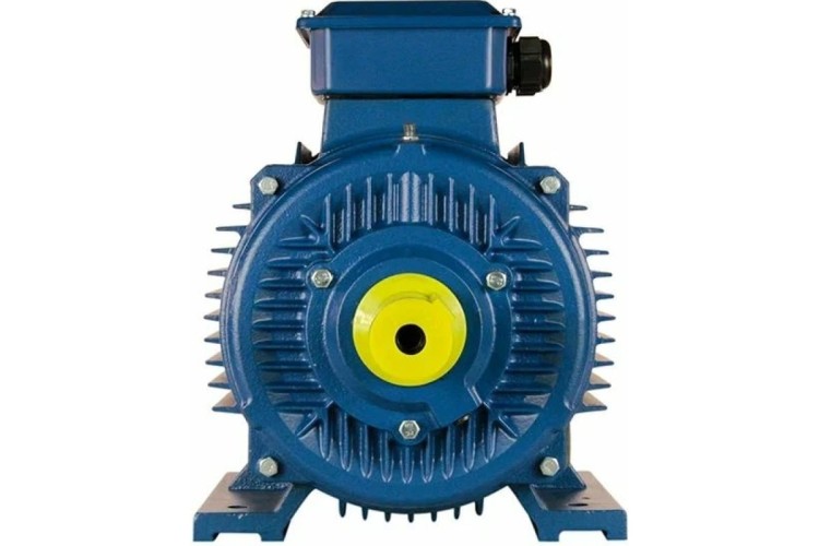 Электродвигатель 5Аи 160 М4 18.5/1500 IM 1001 01.01.213698 - изображение 3