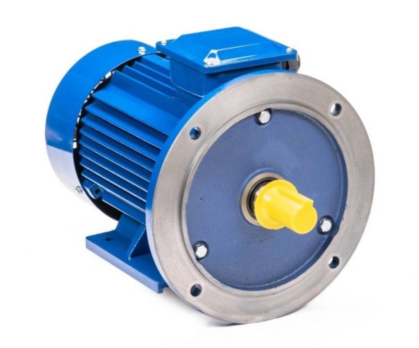 Электродвигатель 5Аи 160 S4 15/1500 IM 2001 01.01.213689 - изображение 3