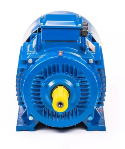 Электродвигатель 5Аи 200 L4 45/1500 IM 1001 01.01.213645 - изображение 3